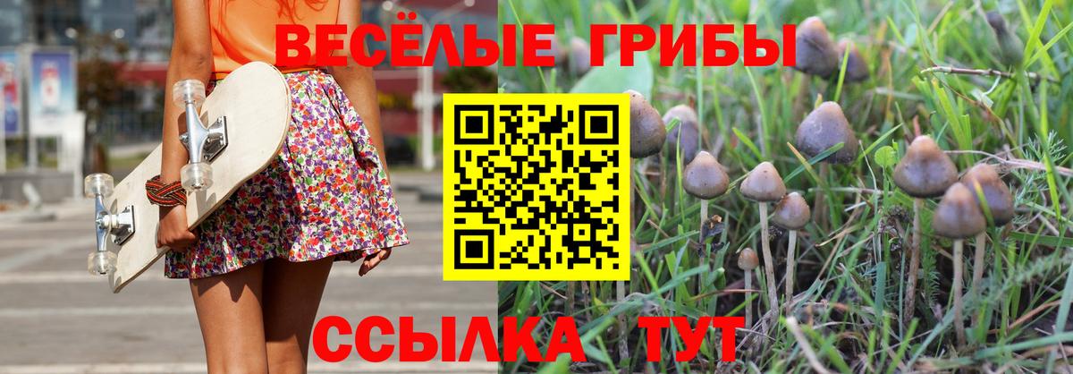 Псилоцибиновые грибы GOLDEN TEACHER Шарыпово