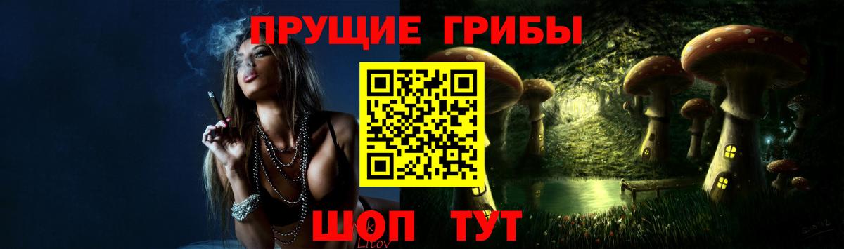 Шарыпово  Псилоцибиновые грибы прущие грибы  Псилоцибиновые грибы прущие грибы  где купить наркоту  Вход с VPN 