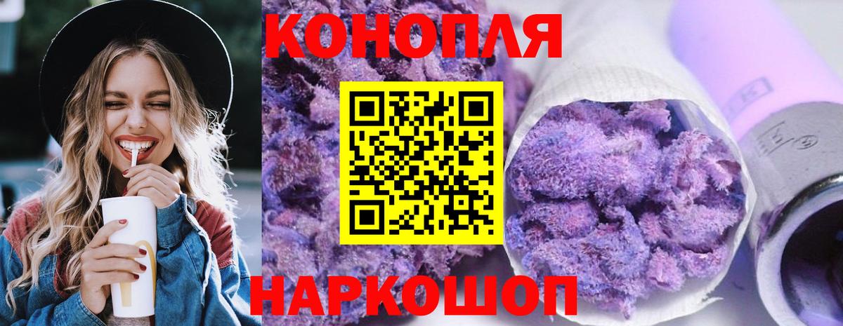 Конопля гибрид Шарыпово